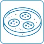 Stem Cells