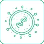Exosomes